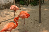 IMG_0105