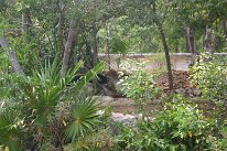 IMG_0107