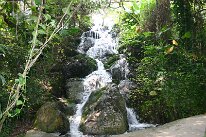 IMG_0109