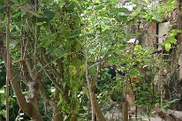 IMG_0111