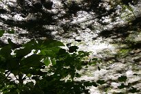 IMG_0112