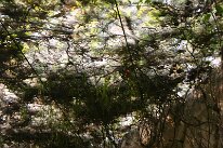 IMG_0113
