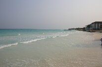 IMG_0117