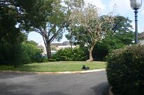 IMG_2279