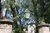 IMG_2280