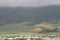 IMG_2341