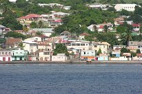 IMG_2352