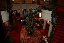 IMG_2356