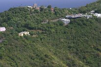 IMG_2450