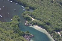 IMG_2464