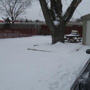 IMG_0667 (web)