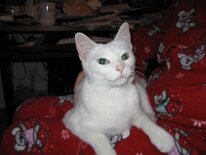 IMG_0847 (web)
