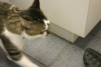 IMG_5521