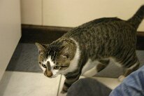IMG_5523