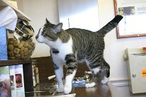 IMG_5524
