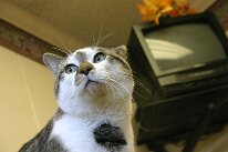 IMG_5527