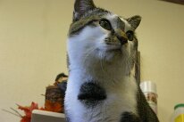 IMG_5528