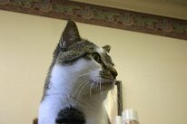 IMG_5529