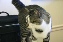 IMG_5530