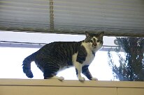 IMG_5536