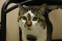 IMG_5549