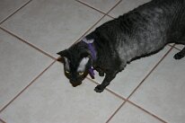 IMG_0424