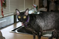 IMG_0425