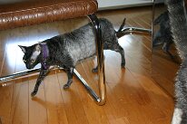 IMG_0429