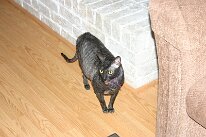 IMG_0436