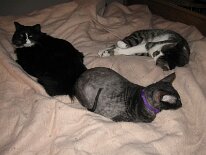 IMG_0651