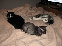 IMG_0652