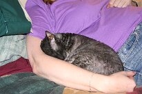 IMG_2563