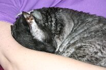 IMG_2564