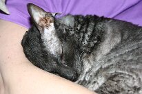 IMG_2565
