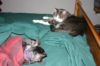 IMG_2571