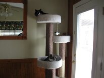 IMG_0849