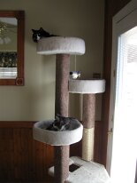 IMG_0850