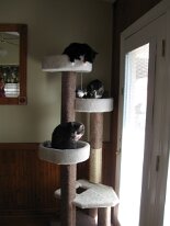 IMG_0851