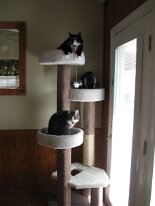 IMG_0852