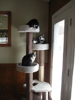 IMG_0854