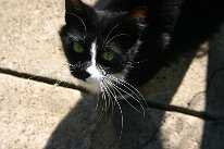 IMG_2608