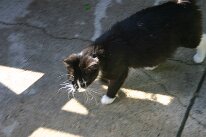 IMG_2609