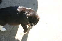 IMG_2611