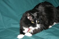 IMG_8529