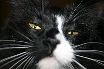 IMG_8543