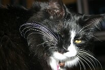 IMG_8546
