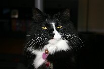 IMG_8550
