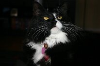 IMG_8551