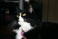 IMG_8552