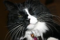 IMG_8553